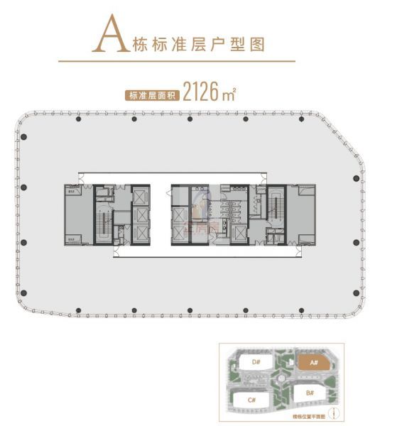 丽金中心