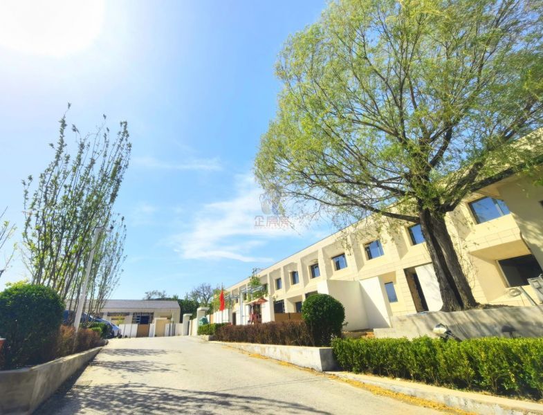 果荳文创园二期